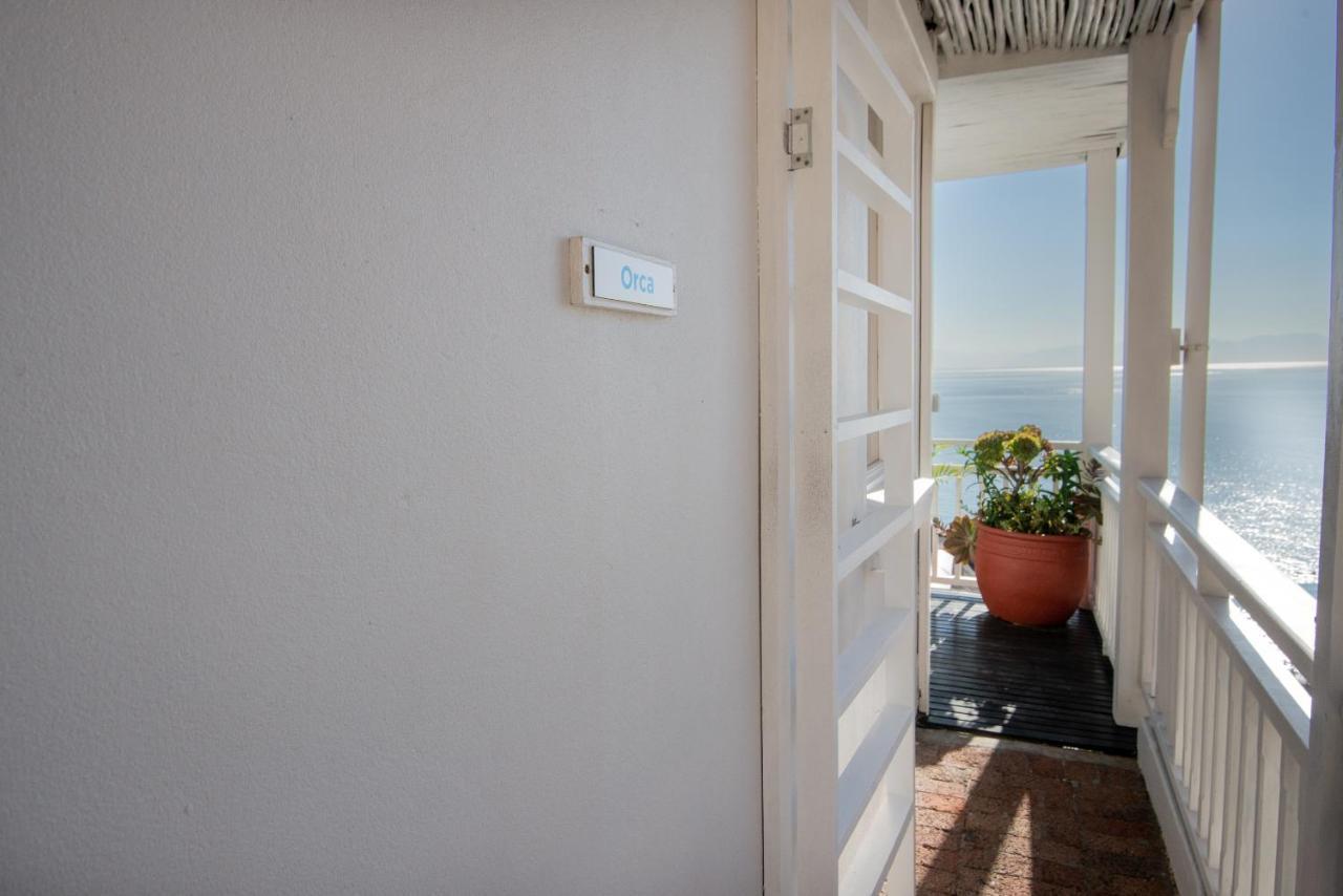 Apartament A Whale Of A Time Fish Hoek Zewnętrze zdjęcie