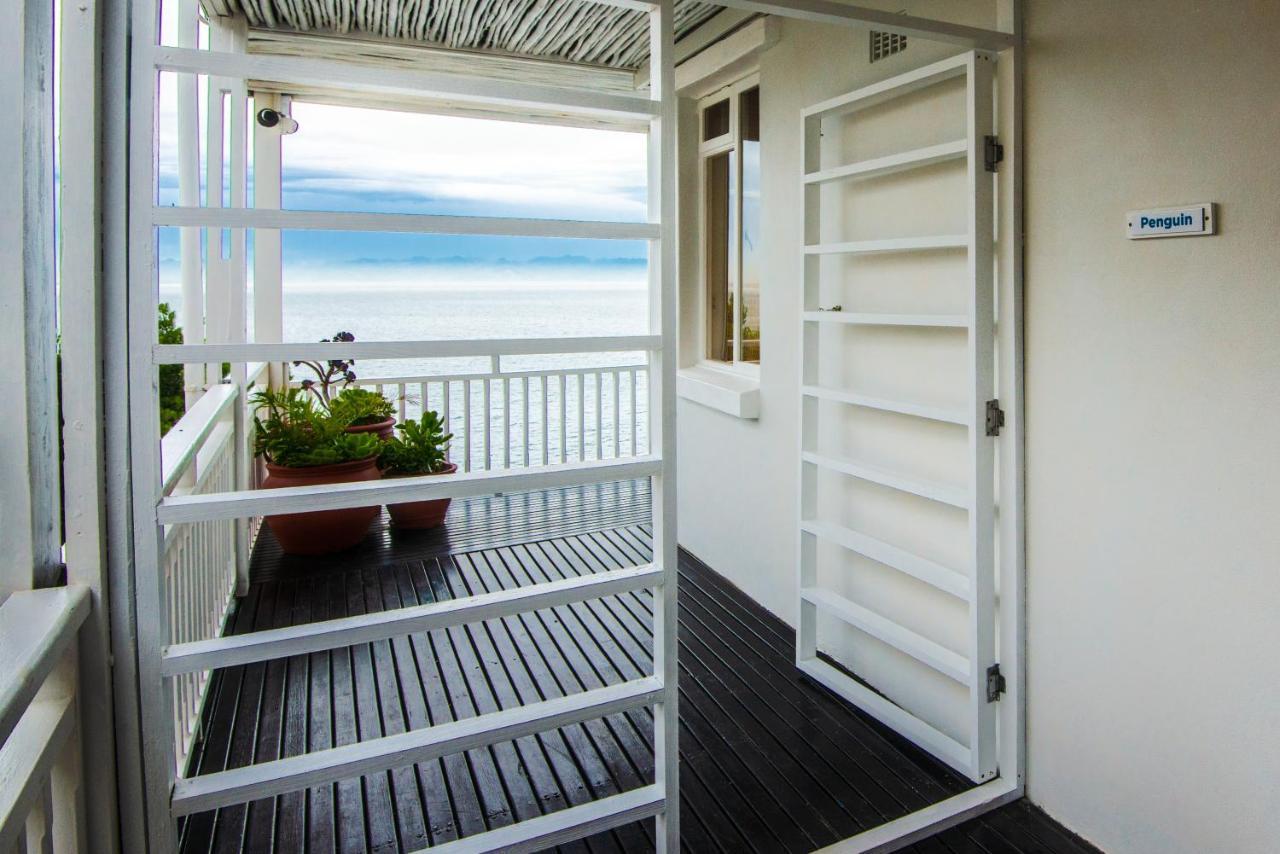 Apartament A Whale Of A Time Fish Hoek Zewnętrze zdjęcie