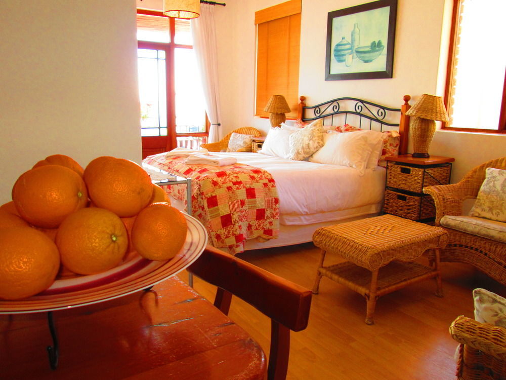 Apartament A Whale Of A Time Fish Hoek Zewnętrze zdjęcie