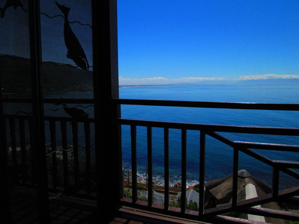 Apartament A Whale Of A Time Fish Hoek Zewnętrze zdjęcie